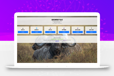 极简个人引导页源码